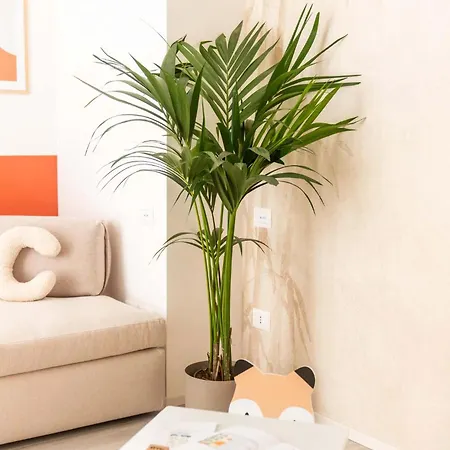 Apartment Vibra Tahiti Comfort